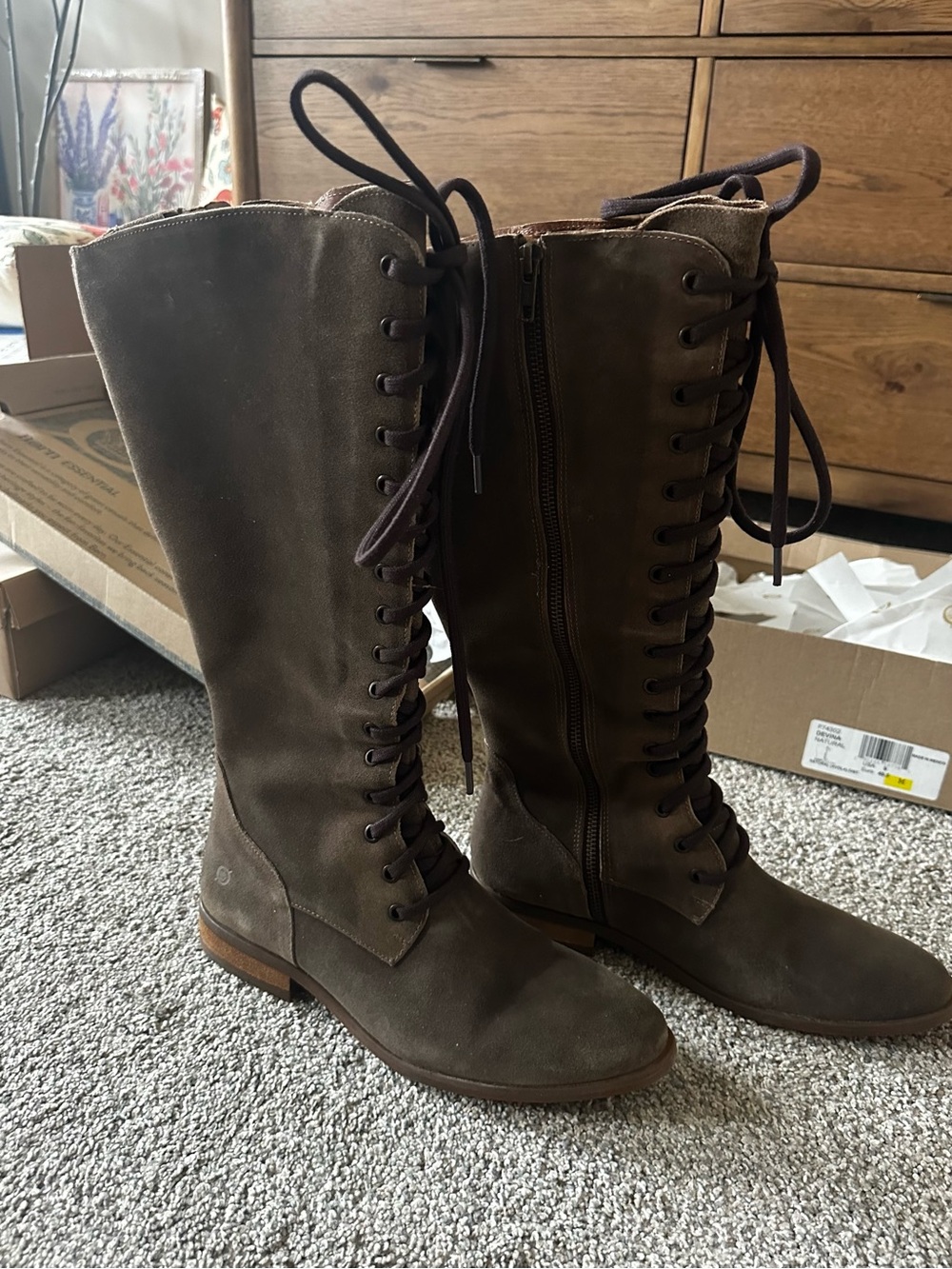 NEW Born Tall Lace-Up Riding Boots in Dark Brown Suede zipper